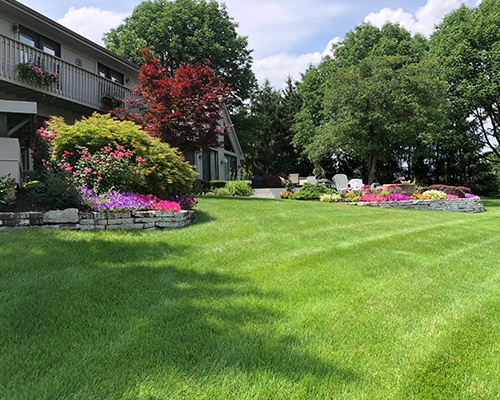 Landscape Maintenance